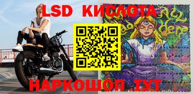 PSILOCYBIN Свободный