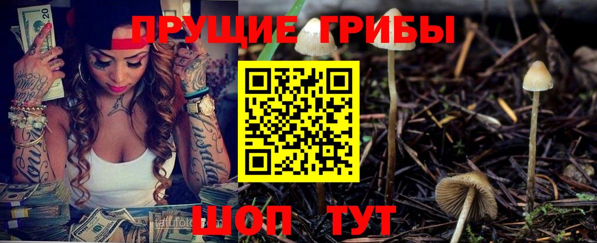 где найти наркотики  Вход с VPN  Псилоцибиновые грибы ЛСД  Рассказово  Галлюциногенные грибы Cubensis 